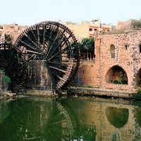Hamah,_kareem,-tours